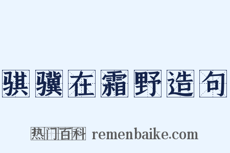 骐骥在霜野造句是什么意思的图片